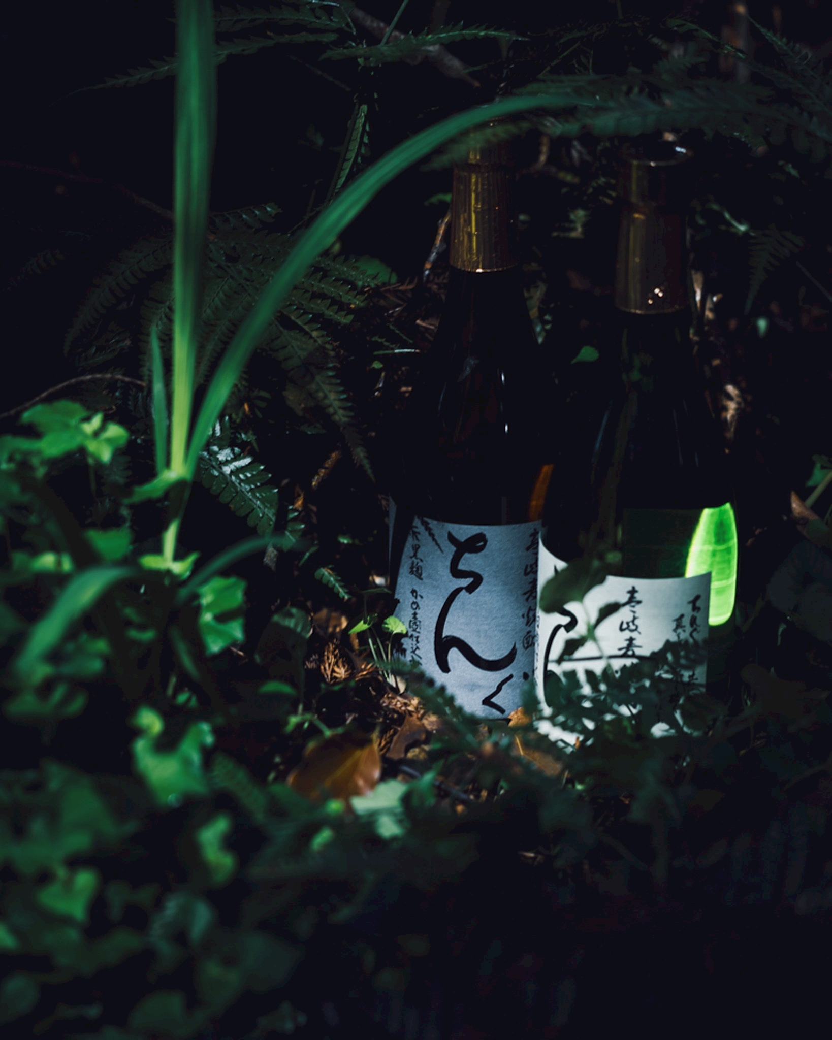 ちんぐ黒麹 お湯割り 壱岐焼酎