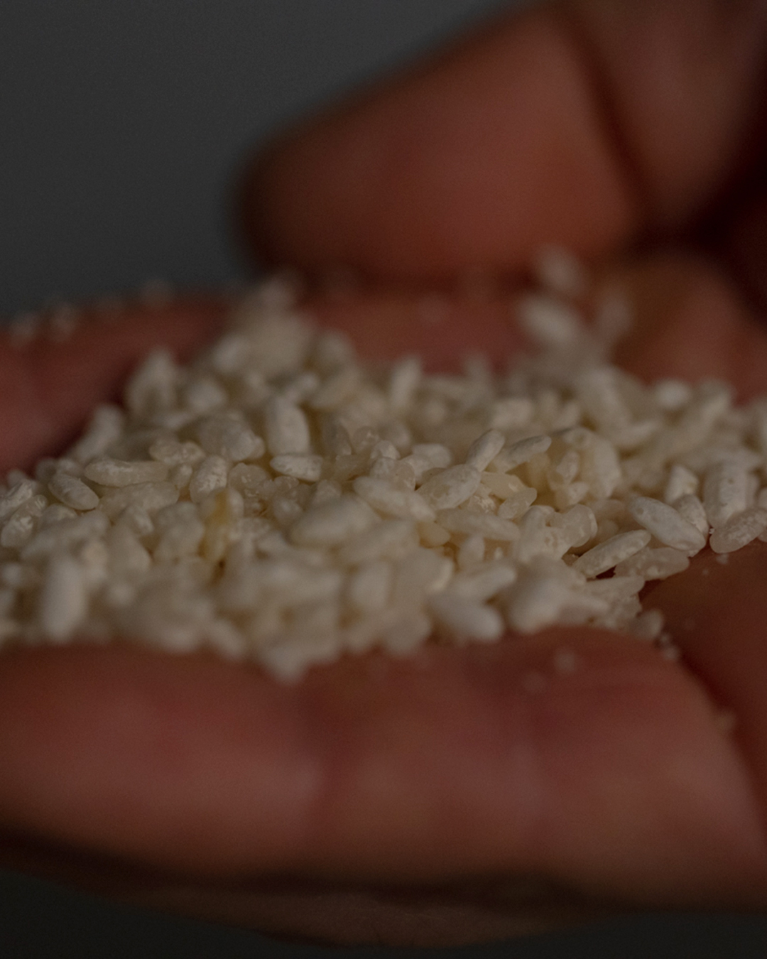 壱岐焼酎地理的表示GI取得 麦焼酎発祥の地